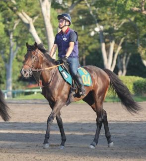 【今週の注目新馬】レーヴブリリアント乗り込み豊富　伯母はGⅠ4勝リスグラシュー