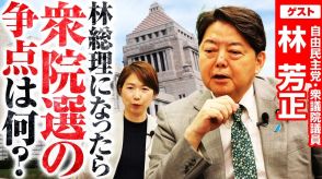 次期衆院選は苦戦必至？！選挙戦略と日本の成長戦略を自由民主党・林芳正衆院議員が語る！選挙ドットコムちゃんねるまとめ