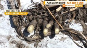 京都で 「九条ねぎ」大量盗難　ネギ農家を逮捕　周辺で合計3トン以上の被害も