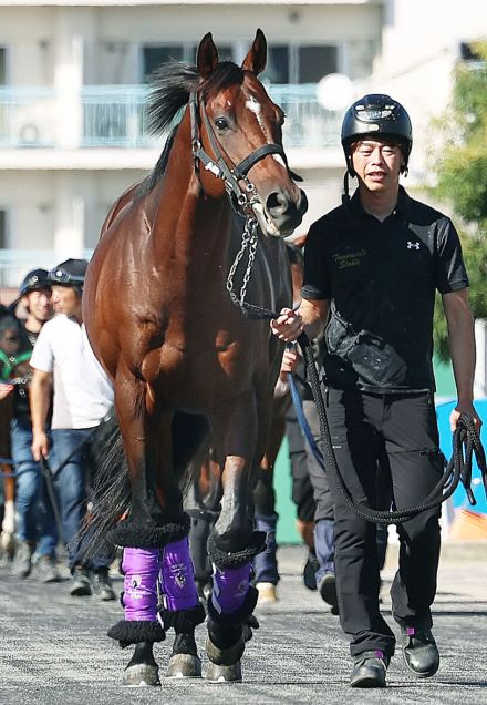 【注目馬動向】ドウデュースが栗東でラストシーズンへ始動　友道調教師「元気が有り余っていますね」