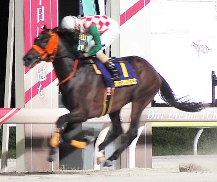 【大井競馬・報知盃東京記念（１２日）】直線で抜け出したナッジが重賞２勝目