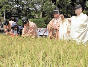 宮城県岩沼市の竹駒神社で「抜穂祭」　ひとめぼれずっしり、豊作に感謝