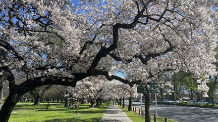 日本の感覚ではまだ金利は高いかもしれないけれど…ニュージーランド不動産、住宅金利5％台突入で春が来た！【現地バイヤーが解説】