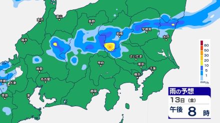 関東甲信では13日夜遅くにかけて“バケツをひっくり返したような”激しい雷雨か 引き続き大気の状態が不安定で警報級大雨の恐れ【14日（土）午後9時までの雨のシミュレーション・13日午前11時更新】