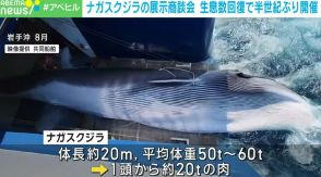 ナガスクジラの展示商談会 生息数回復で約半世紀ぶりに開催 東京・豊洲市場