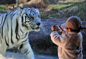 「上手に撮ってね！」　鹿児島の動物園がフォトコン　39点が入賞