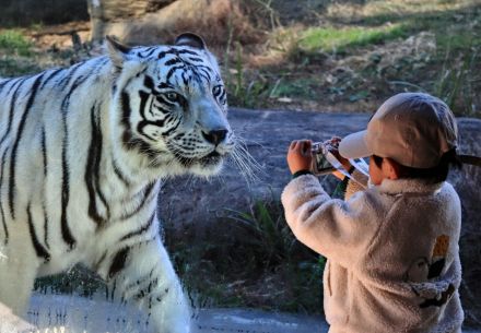 「上手に撮ってね！」　鹿児島の動物園がフォトコン　39点が入賞