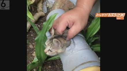 「出られなくなってしまったニャー」子ネコ兄弟を排水管から必死の救出　奈良・御所市