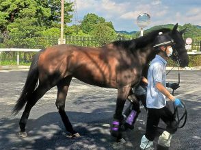 皐月賞馬ジャスティンミラノが天皇賞・秋に向けて帰厩　友道師「いい夏を過ごせました」