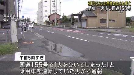 「人をひいてしまった」乗用車を運転していた男から通報　80代男性が死亡　愛知・一宮市