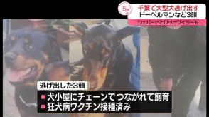 ドーベルマンなど大型犬3頭逃げ出す　警察が捜索　千葉・四街道市【中継】