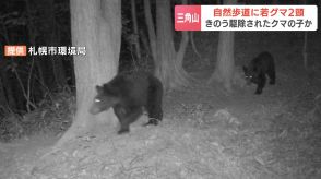 札幌・三角山の自然歩道　カメラに“若グマ”２頭の姿　前日に駆除された母グマの子どもか　付近の住民に注意呼びかけ　札幌市西区