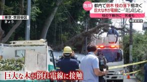 都内で倒木・枝の落下相次ぐ　下敷きになり死亡も