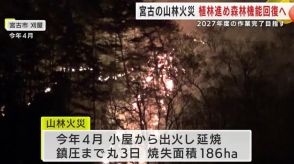 宮古市の山林火災　植林進め森林機能回復へ　２０２７年度の作業完了目指す　岩手県