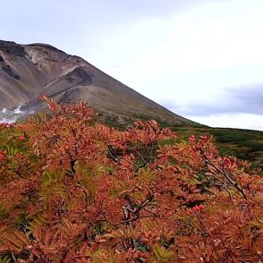 【日本一早い紅葉】3連休前に大雪山系の紅葉が見ごろ 去年より4日ほど早い…3連休は標高1600～1800メートル付近で色づきがピーク 寒気で気温が氷点下になる恐れ 防寒着の準備を 北海道