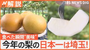 埼玉県が“高級フルーツ王国”に!? 「量より質」でブランド梨やイチゴは日本一に　産地化を目指す幻のフルーツ「ポポー」とは【Nスタ解説】