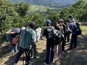 和歌山大の学生が大阪の百貨店で地元PR　商品選定や商品開発に挑戦