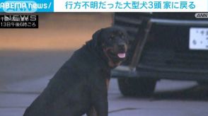 行方不明だった大型犬3頭　家に戻る　千葉