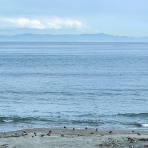 津軽海峡を眺めて過ごす割烹温泉旅館　 北海道・湯の川温泉「若松 函館」