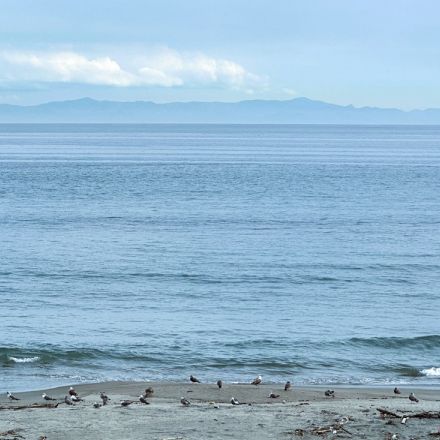 津軽海峡を眺めて過ごす割烹温泉旅館　 北海道・湯の川温泉「若松 函館」