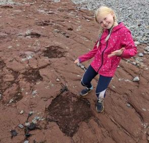 10歳の少女が2億年前の恐竜の足跡を発見…英ウェールズの海岸で（海外）