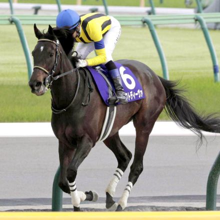 【注目馬動向】マスクトディーヴァは府中牝馬Ｓでの復帰を視野　今春のヴィクトリアマイルで３着