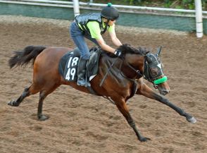 【ローズＳ】ポテンシャルが高いオーロラエックス　「荒れた馬場や左回りも大丈夫だと思う」