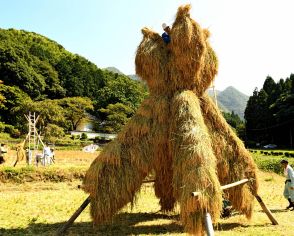 田の実り、フクロウに　島根県大田市に伝統の「ヨズクハデ」