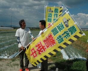 盗難相次ぐ九条ねぎ　農地パトロールで警戒呼びかけ　京都・久御山