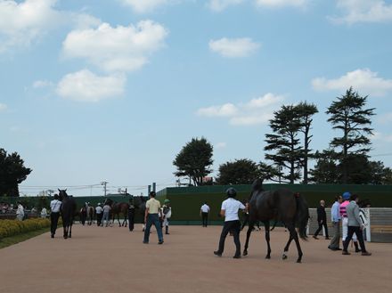 【中山5R新馬戦結果】ドゥラメンテ産駒イブニングタイドが人気2頭の競り合いを制す