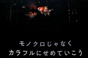 おみくじの占いで見る水槽を決める？横浜中華街「横浜開運水族館フォーチュンアクアリウム」その先にある衝撃的なものとは？