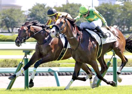 【中山５Ｒ・２歳新馬】激しい一騎打ちを制したイブニングタイドが頭差Ｖ　戸崎圭太騎手「芝で上手に走れました」