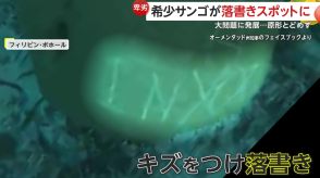 希少サンゴが“落書き”スポットに…「キム」「ミン」韓国人観光客?　“シュノーケル禁止”大問題に発展…チップ目当てのガイド関与か　フィリピン