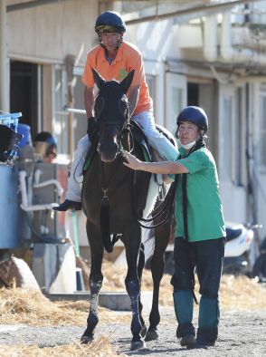 【阪神ジャンプS】3番人気のサペラヴィ、重賞初制覇　10年ぶり重賞勝利の江田勇「うまく仕上げてくれた厩舎に感謝」