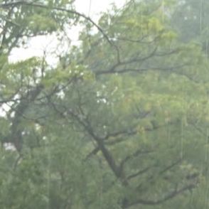 台風13号　宮崎県南部が強風域に　強風・大雨に注意