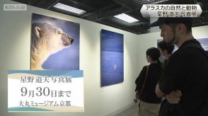 星野道夫写真展　アラスカの自然と動物撮影がライフワーク