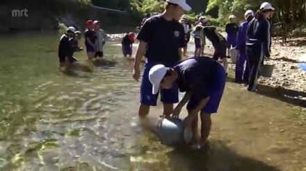 延岡市北浦町で小中学生によるヤマメやウナギなどの放流体験