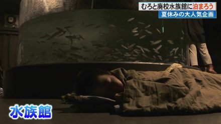 エイのそばで眠りシュモクザメと一緒に泳ぐ!?　小学生らが海の生き物とふれあう“むろと廃校水族館に泊まろう!”