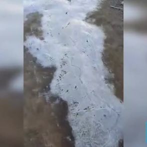 【北海道153地点で今シーズン一番の寒さ】大雪山系黒岳で氷点下1℃ 紅葉に霜が…“放射冷却”で冷え込み強まる