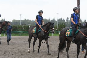 【今日の注目新馬】シンデレラダッシュ追い切りで余裕たっぷりに併入　曽祖母はGⅠ5勝メジロドーベル／中山5R