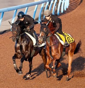 【セントライト記念】驚異の「連対率100％」データに合致する2頭　馬券は馬連1点でOK？