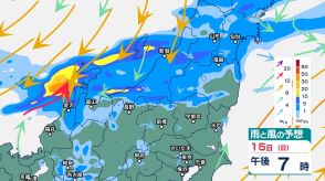 新潟県では非常に雷を伴って激しい雨が降っている所も　15日夕方にかけて土砂災害や低い土地の浸水などに警戒を【今後の雨風のシミュレーション・15日午前11時半更新】