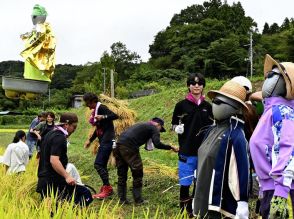 「UFOの里」で酒米稲刈り　福島・飯野、宇宙イメージした酒へ