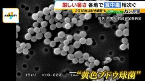 残暑の季節『食中毒』に要注意！知っておきたい「ノロウイルス」や「黄色ブドウ球菌」　実はエコバッグにもキケンな落とし穴