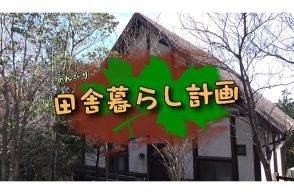 荒れた山荘周辺の整備は過酷!?　間伐やシダの刈り込みなど「移住後の環境整備」の様子を公開