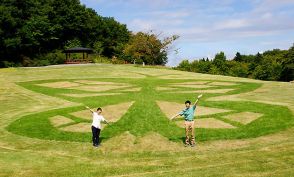 アサギマダラ、巨大な地上絵　山形市野草園に登場・芸工大生が作画、芝生に表現