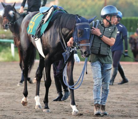 【中山5R新馬】シンリョクカの半妹、レイユールがデビュー戦を快勝「お姉ちゃんたちに追いついてほしい」嶋田も期待を寄せる