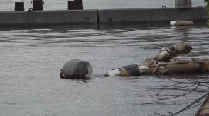 「海に人が浮いている」身元不明の高齢男性の遺体が港で見つかる　石川県七尾市