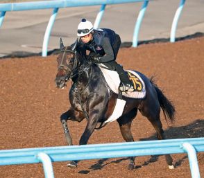 日曜メインレースの注目激走馬…中京１１Ｒローズステークス・Ｇ２