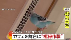 トム・クルーズさながら!「ミッション“インコ”ポッシブル」　カフェを舞台に極秘作戦!?アクションを遂行するインコが話題　大阪市